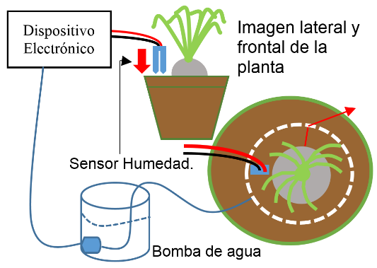 Diagrama de instalación del dispositivo electrónico para el cuidado de una
planta de ornato.