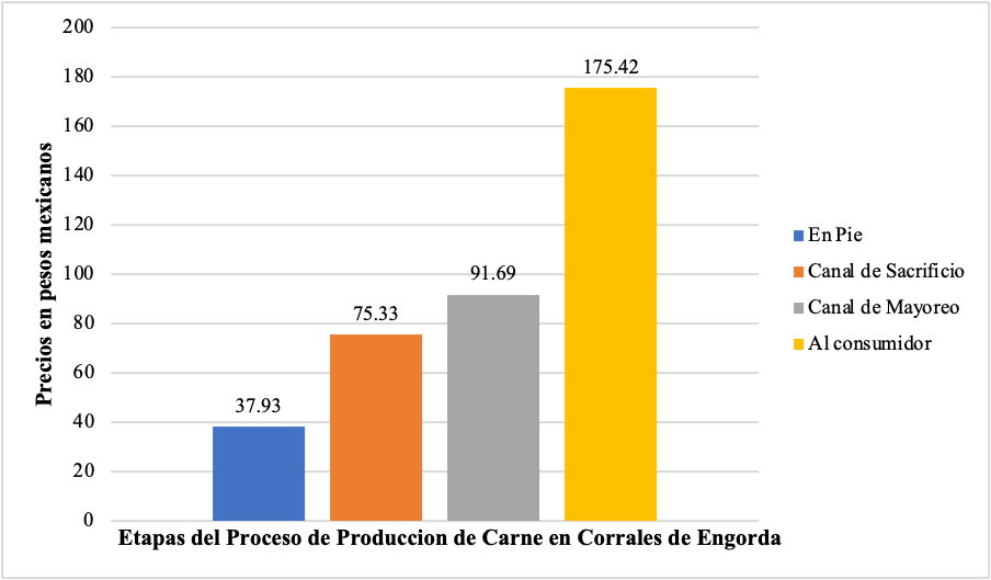 Precios del kilogramo de carne de res [1].